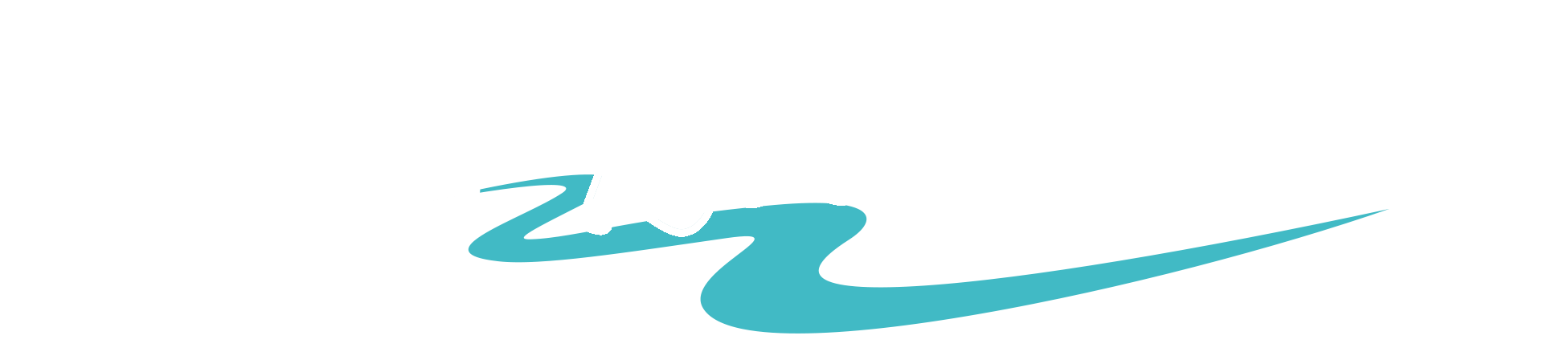 light logo